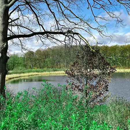 Tiny House Marina Direkt Am Auf Dem Sternberg! *