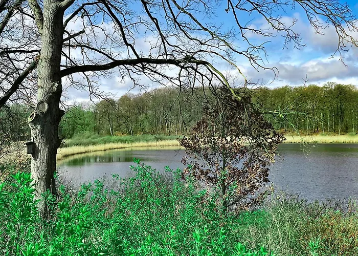 Tiny House Marina Am Auf Dem Sternberg! *